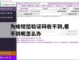 包含为啥短信验证码收不到,看不到呢怎么办的词条
