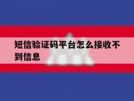 短信验证码平台怎么接收不到信息