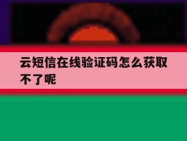 云短信在线验证码怎么获取不了呢