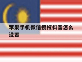 苹果手机微信授权抖音怎么设置