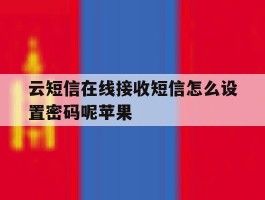 云短信在线接收短信怎么设置密码呢苹果