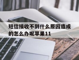 关于短信接收不到什么原因造成的怎么办呢苹果11的信息