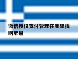 微信授权支付管理在哪里找啊苹果