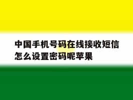 关于中国手机号码在线接收短信怎么设置密码呢苹果的信息