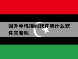 国外手机接码软件叫什么软件来着呢