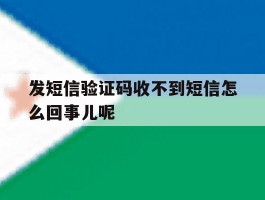 发短信验证码收不到短信怎么回事儿呢
