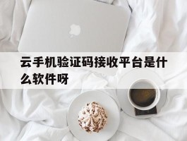 云手机验证码接收平台是什么软件呀的简单介绍