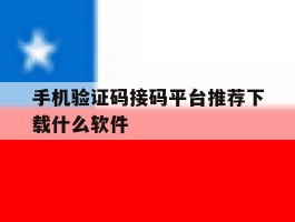 手机验证码接码平台推荐下载什么软件