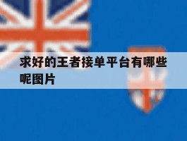 求好的王者接单平台有哪些呢图片