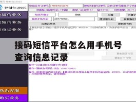 接码短信平台怎么用手机号查询信息记录
