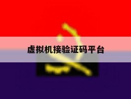 虚拟机接验证码平台