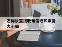 怎样设置接收短信通知声音大小呢