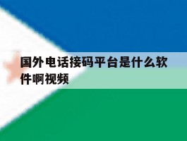 国外电话接码平台是什么软件啊视频