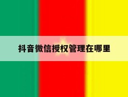 抖音微信授权管理在哪里
