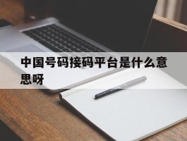 中国号码接码平台是什么意思呀