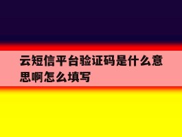 云短信平台验证码是什么意思啊怎么填写的简单介绍
