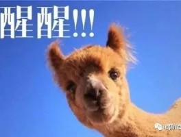 放单平台点赞有收益吗安全吗知乎推荐一下的简单介绍