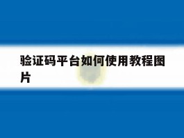 验证码平台如何使用教程图片