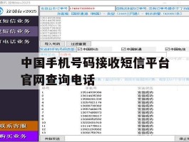 中国手机号码接收短信平台官网查询电话