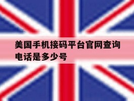 美国手机接码平台官网查询电话是多少号