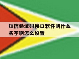 短信验证码接口软件叫什么名字啊怎么设置