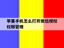 苹果手机怎么打开微信授权权限管理