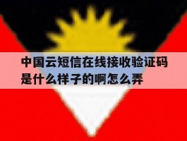 中国云短信在线接收验证码是什么样子的啊怎么弄的简单介绍
