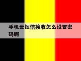 手机云短信接收怎么设置密码呢