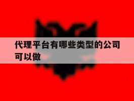 代理平台有哪些类型的公司可以做的简单介绍