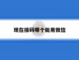 现在接码哪个能用微信