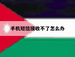 手机短信接收不了怎么办