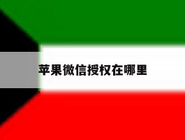 苹果微信授权在哪里