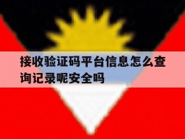 接收验证码平台信息怎么查询记录呢安全吗的简单介绍