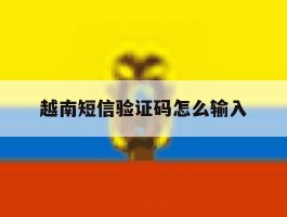 越南短信验证码怎么输入