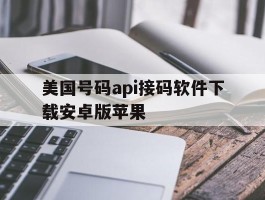 美国号码api接码软件下载安卓版苹果