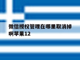 微信授权管理在哪里取消掉啊苹果12的简单介绍