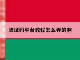 验证码平台教程怎么弄的啊