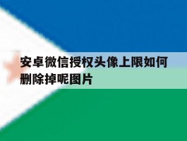 关于安卓微信授权头像上限如何删除掉呢图片的信息