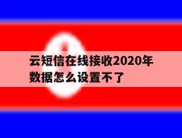 云短信在线接收2020年数据怎么设置不了