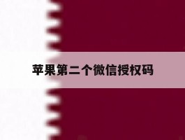 苹果第二个微信授权码