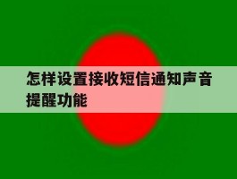 怎样设置接收短信通知声音提醒功能