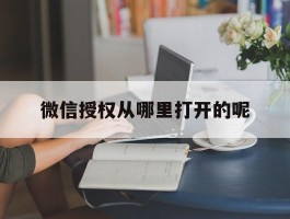 微信授权从哪里打开的呢