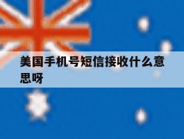 美国手机号短信接收什么意思呀