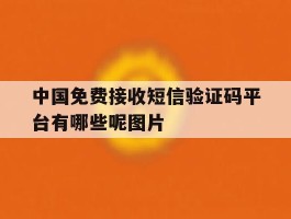 关于中国免费接收短信验证码平台有哪些呢图片的信息