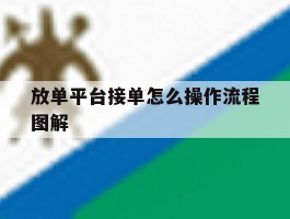 放单平台接单怎么操作流程图解