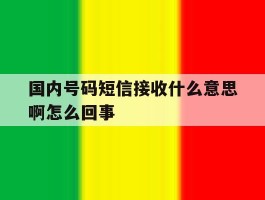 国内号码短信接收什么意思啊怎么回事
