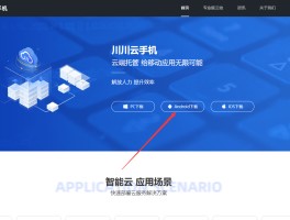 云手机验证码接收平台是什么意思啊