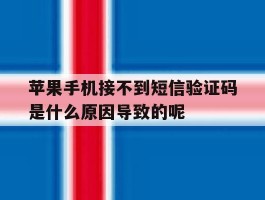苹果手机接不到短信验证码是什么原因导致的呢的简单介绍
