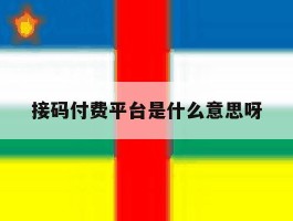 接码付费平台是什么意思呀的简单介绍