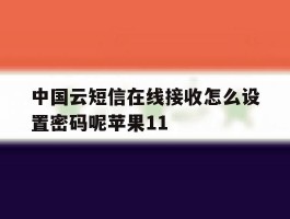 中国云短信在线接收怎么设置密码呢苹果11的简单介绍